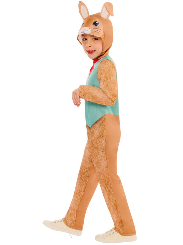 Rabbit - Image 4
