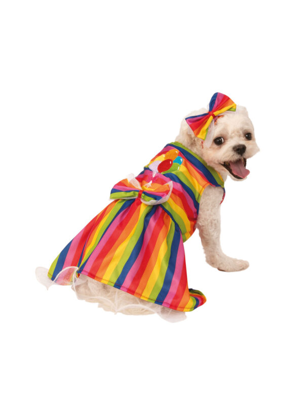 Rainbow Party