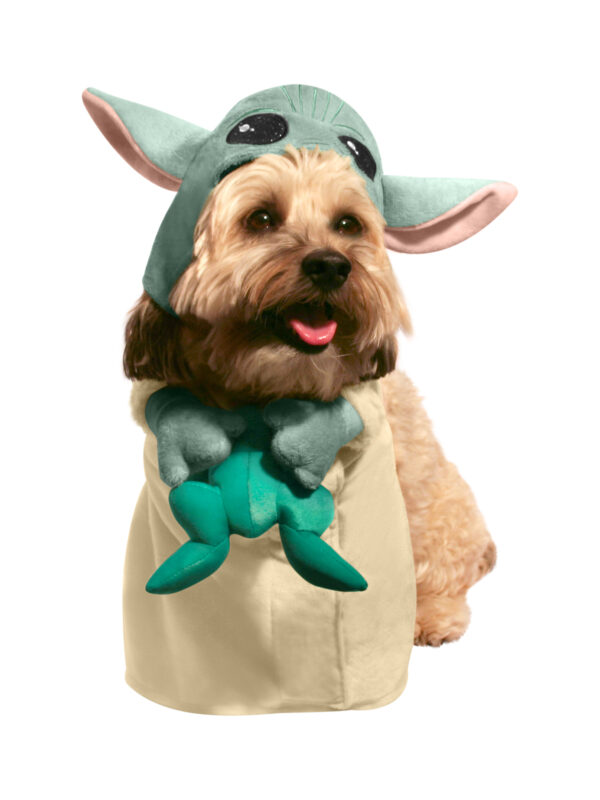 The Child Pet Costume With Frog